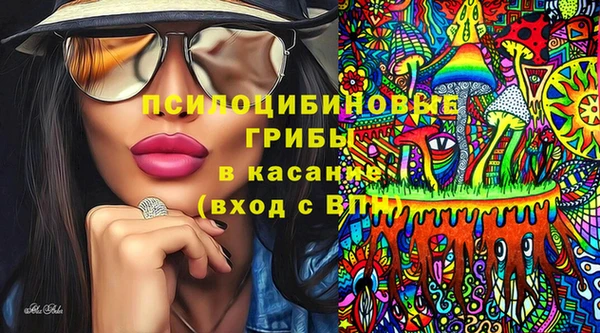 бошки Алексеевка