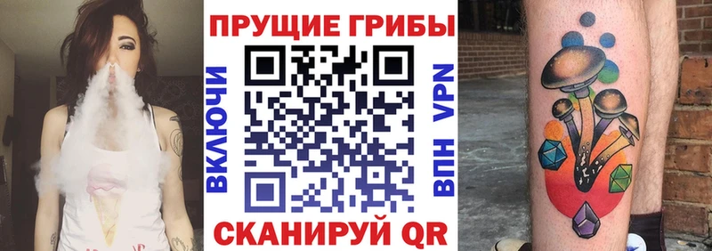 KRAKEN ССЫЛКА  Калязин  Галлюциногенные грибы мицелий 